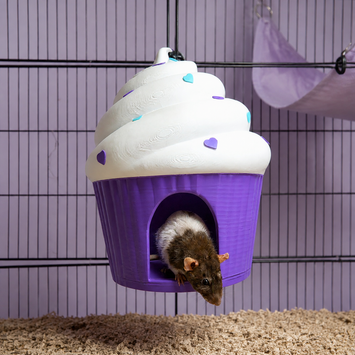 Cupcake Rat Hide product hero view