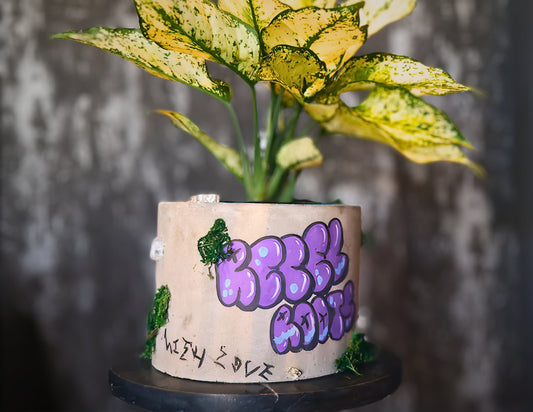 a close up of a cake on a table 