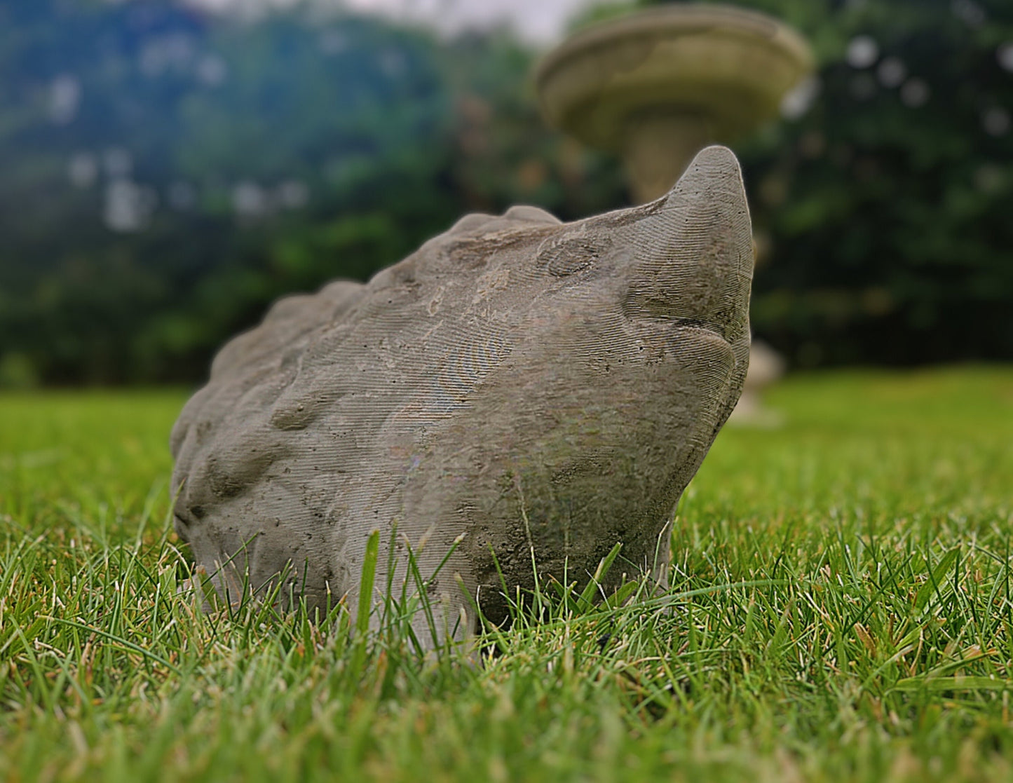 a sheep that is laying down in the grass 