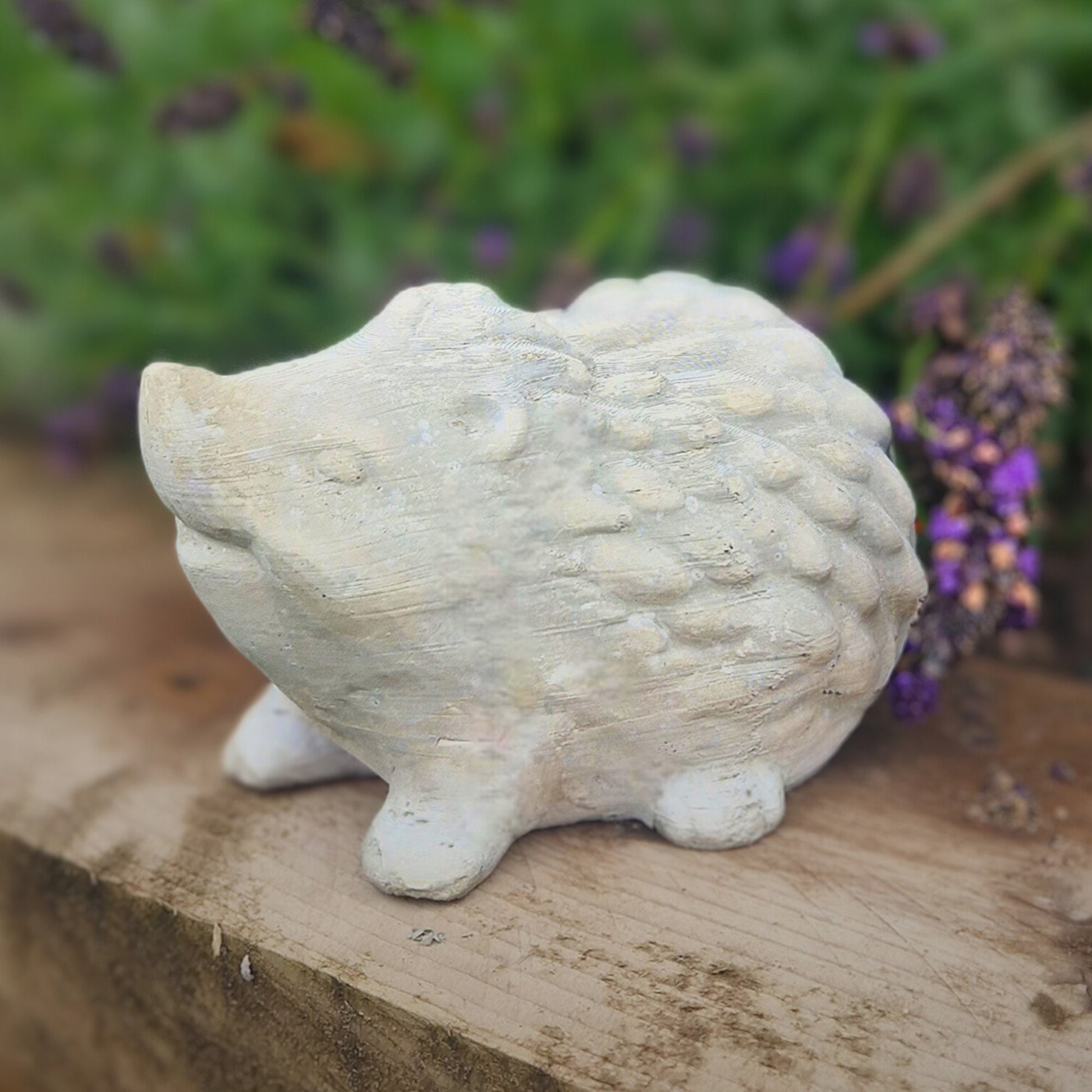 a white teddy bear sitting on top of a wooden table 