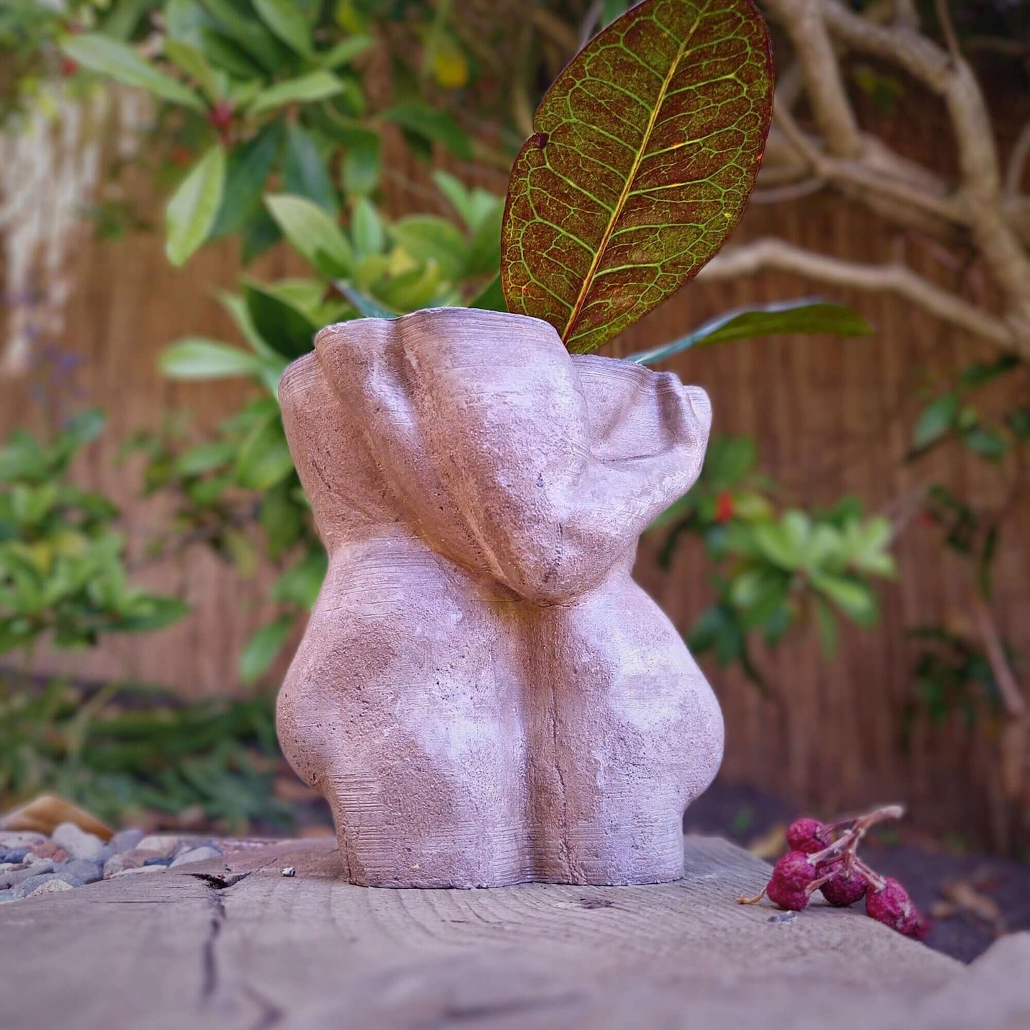 a pink teddy bear hanging from a tree 