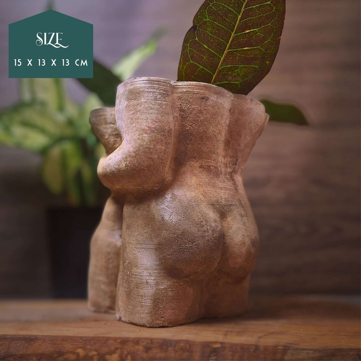 Romantic Planter front view showing planting area