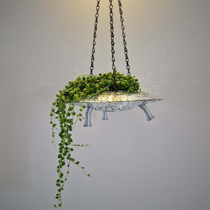 a plant that is hanging from the ceiling 