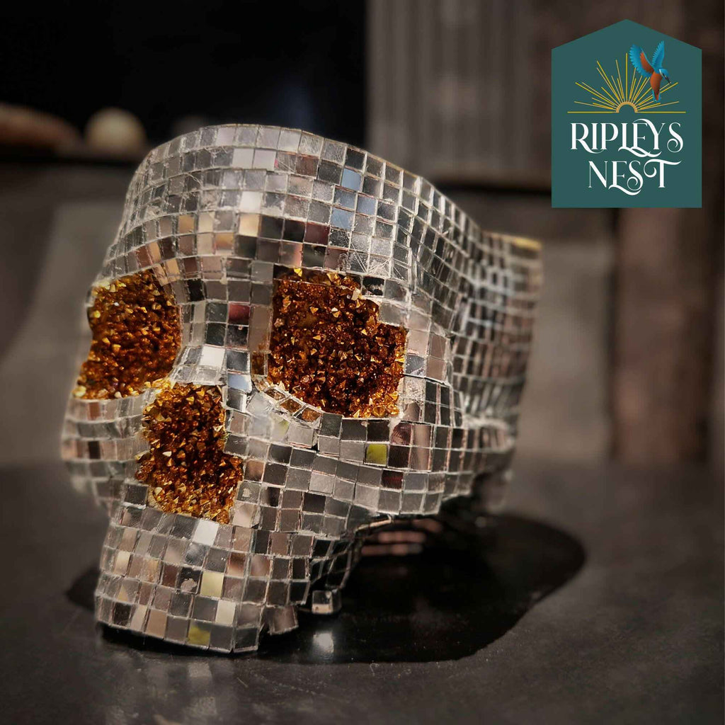 Silver Skull Mirror Planter