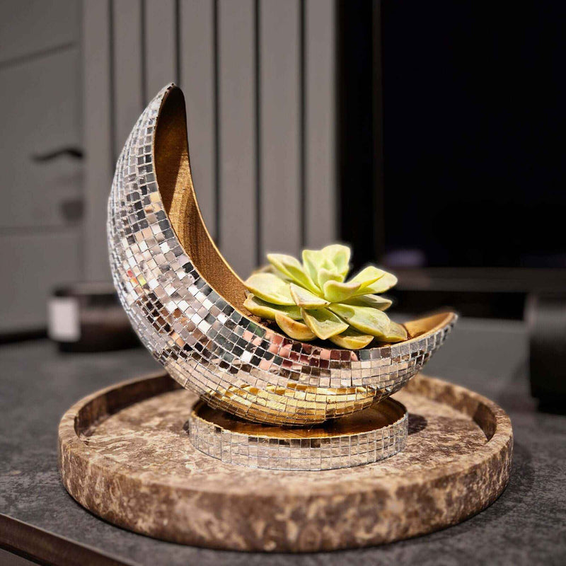 Luna Mirror Plant Pot
