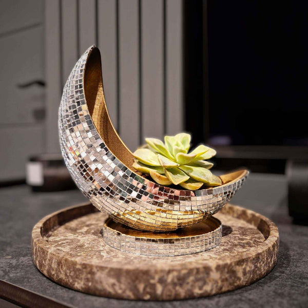 Luna Mirror Plant Pot