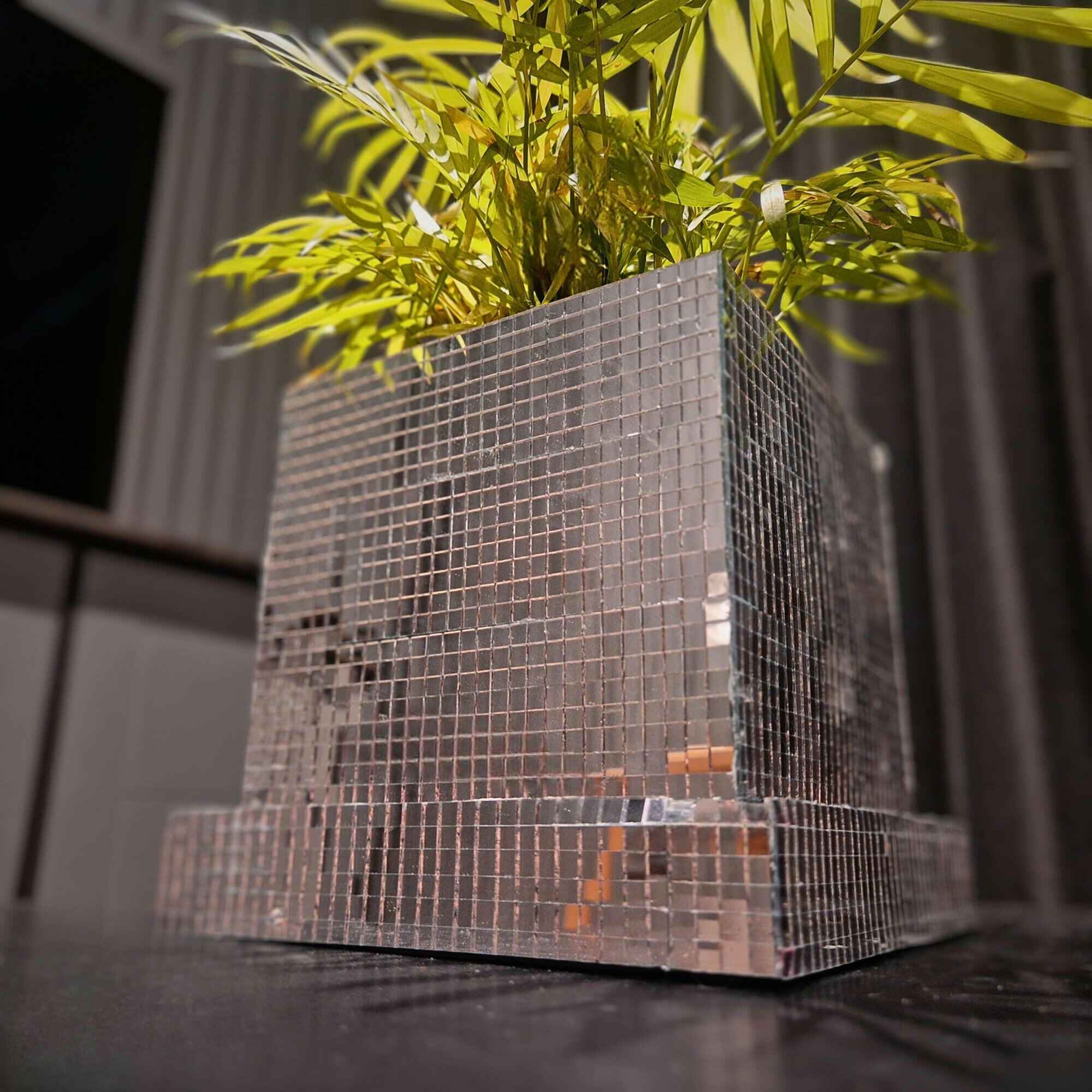 Disco Cube Planter