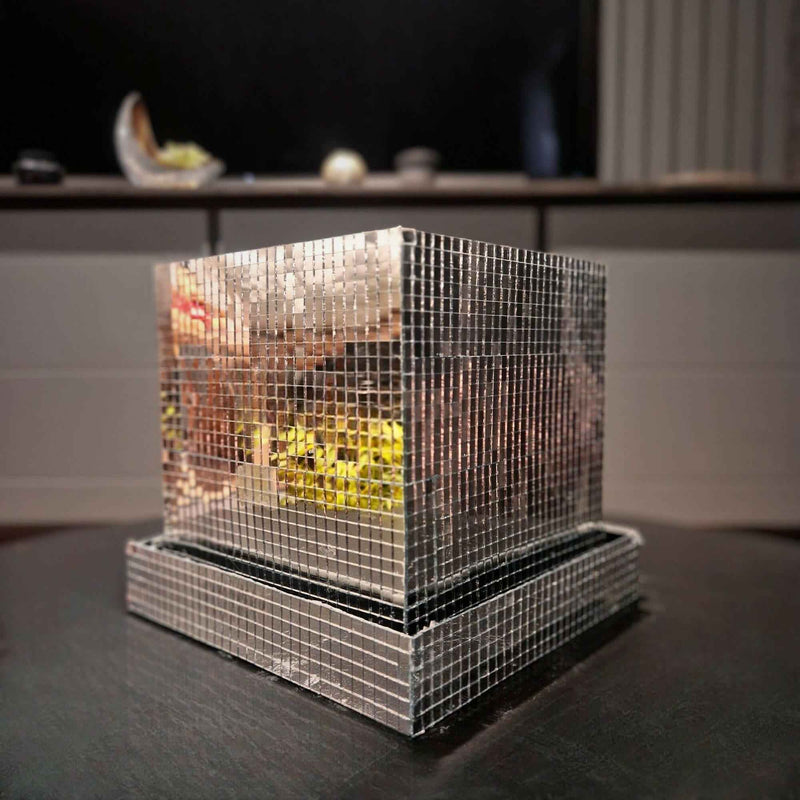 Disco Cube Planter