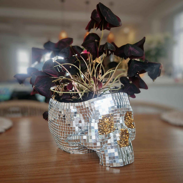 Silver Skull Mirror Planter