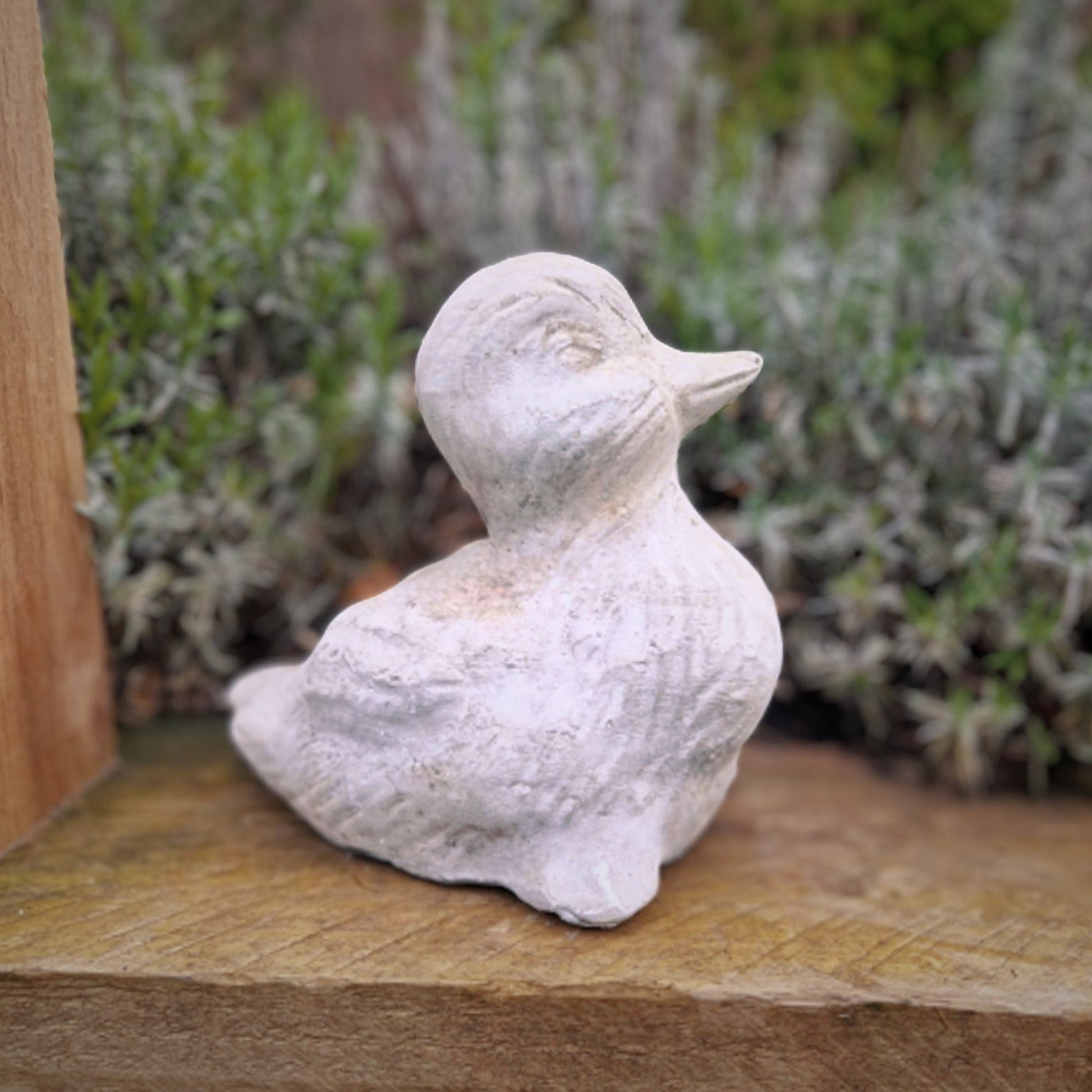 a white bird sitting on top of a wooden table 