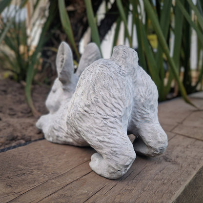 a gray and white sheep standing on a wooden floor 