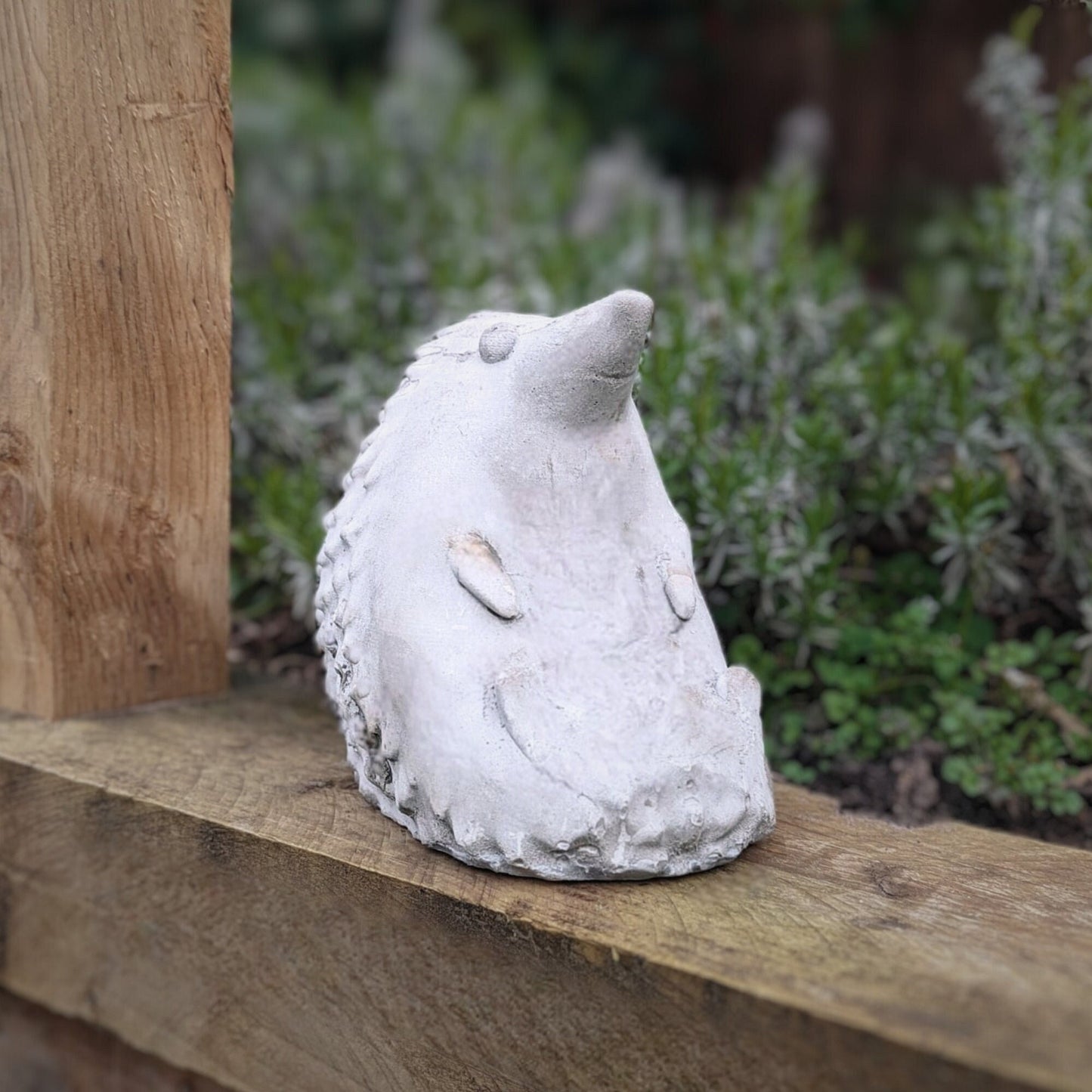 a white cat is sitting on a wooden bench 