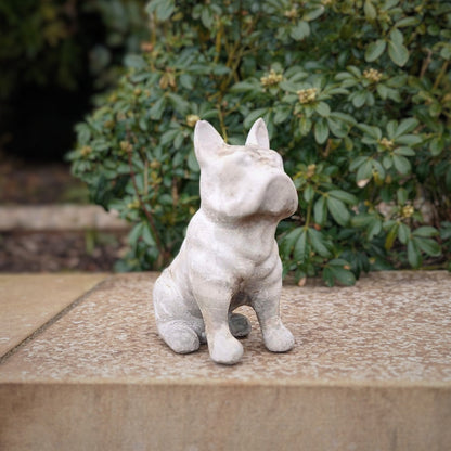 a white cat sitting on a wooden bench 