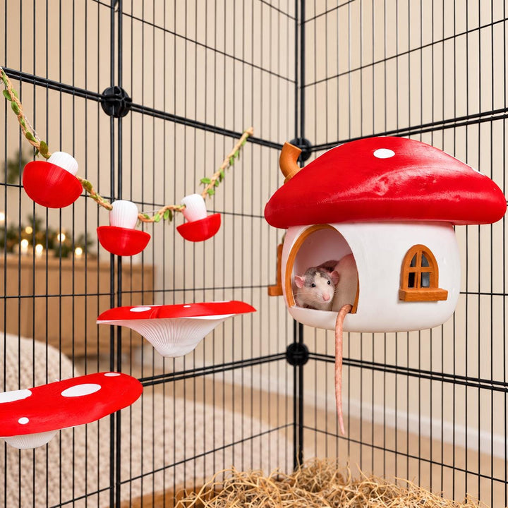 Fairy Mushroom Rat Cage Accessory Kit | Hide, Shelves & Foraging Cups in a Christmas setting