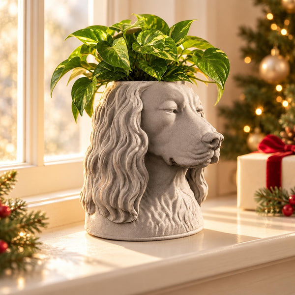 Custom Pet Portrait Planter from Photo