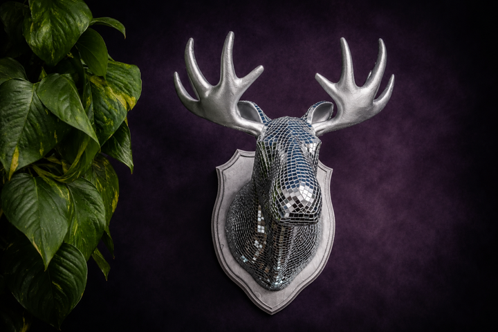 Mirrorball Moose mirror ball moose wall art styled with green plant on purple wall