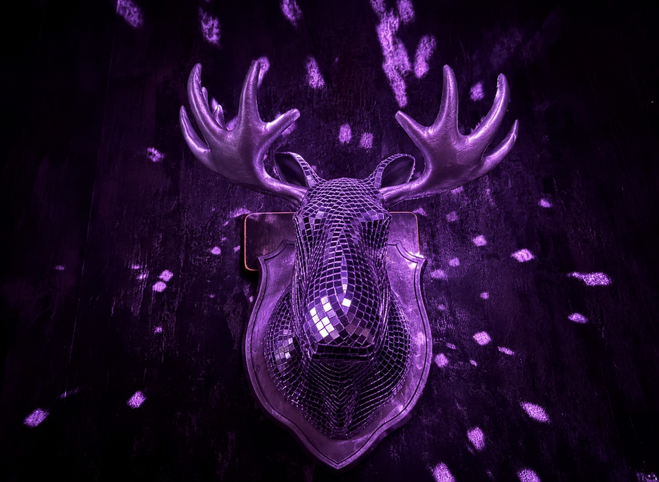 Mirrorball Moose front view with purple disco light reflections