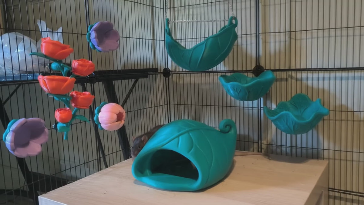 Load video: Botanical Rat Cage Bundle