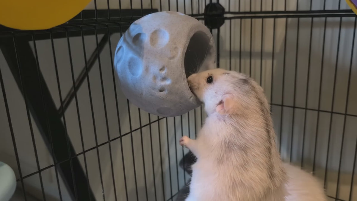 Load video: Planet &amp; Moon Rat Cage Set