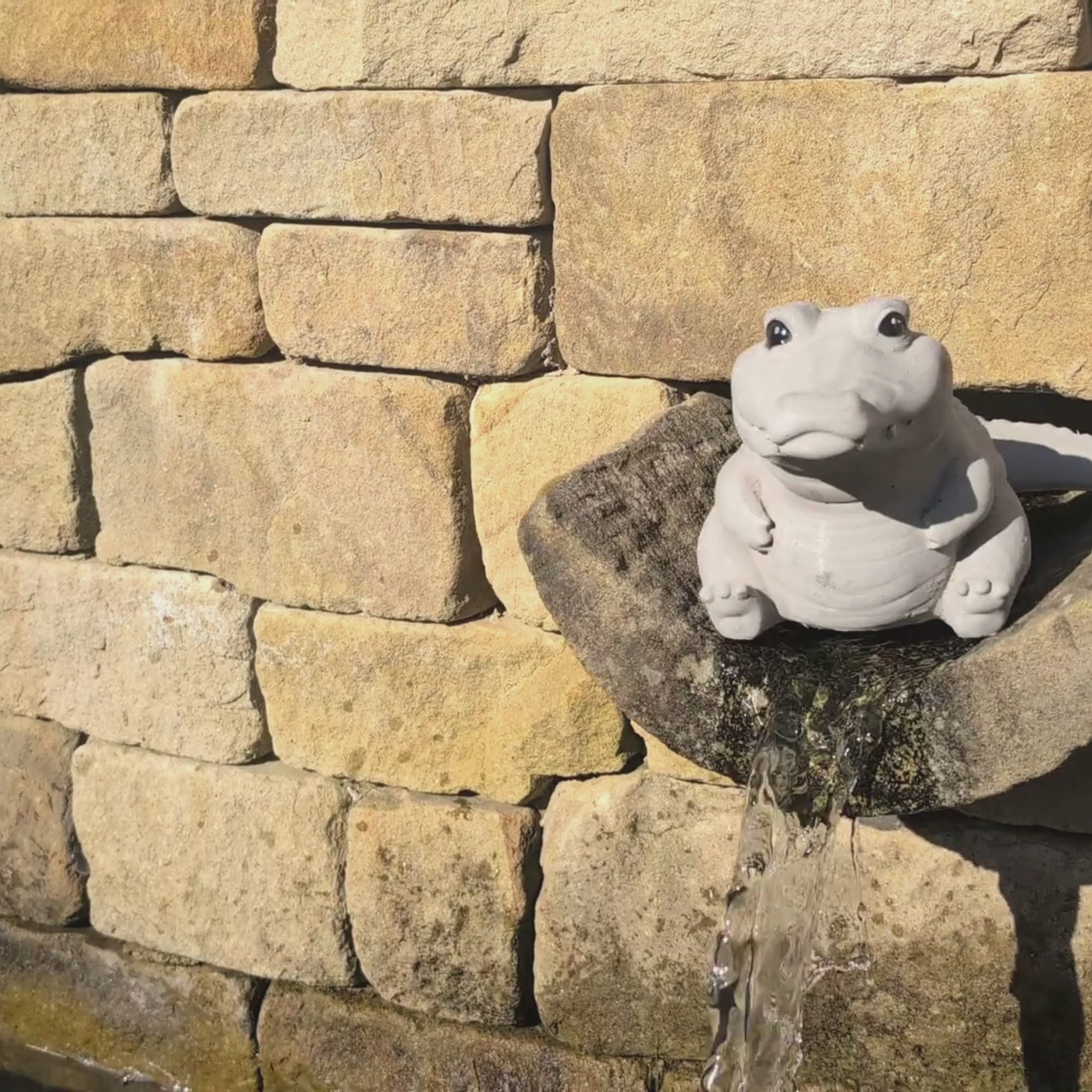 Cheeky Crocodile Concrete Sculpture