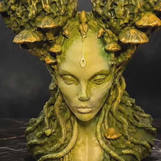 Mycelia Fungal Faerie Queen planter video