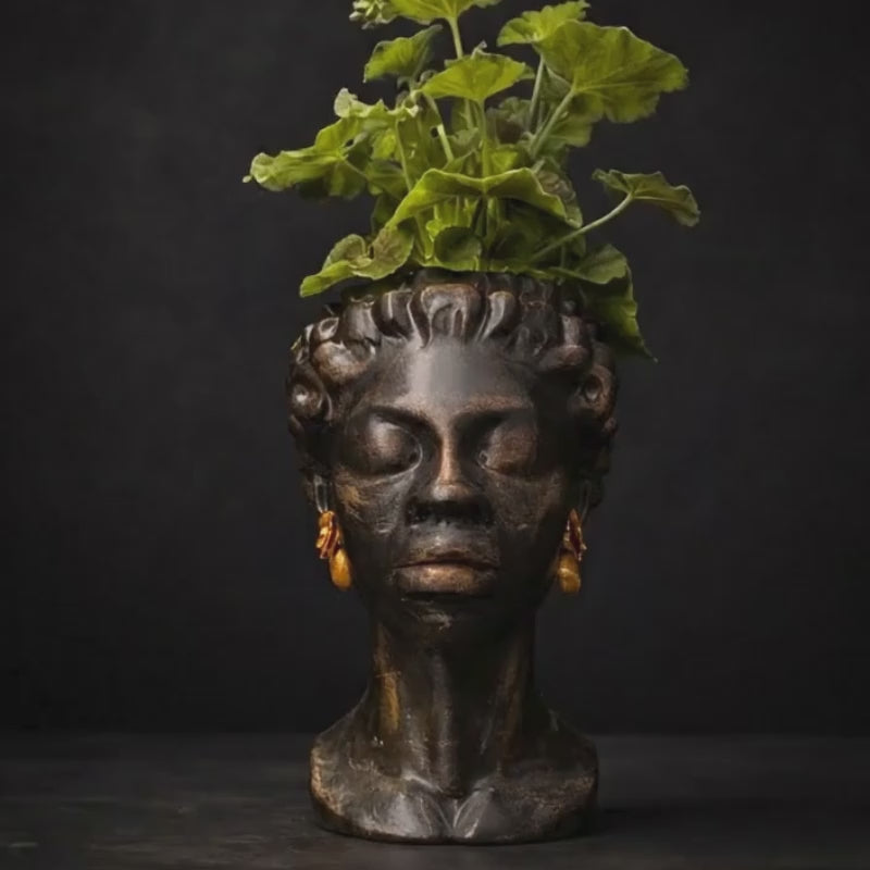 Load video: The Florid Chiaroscuro