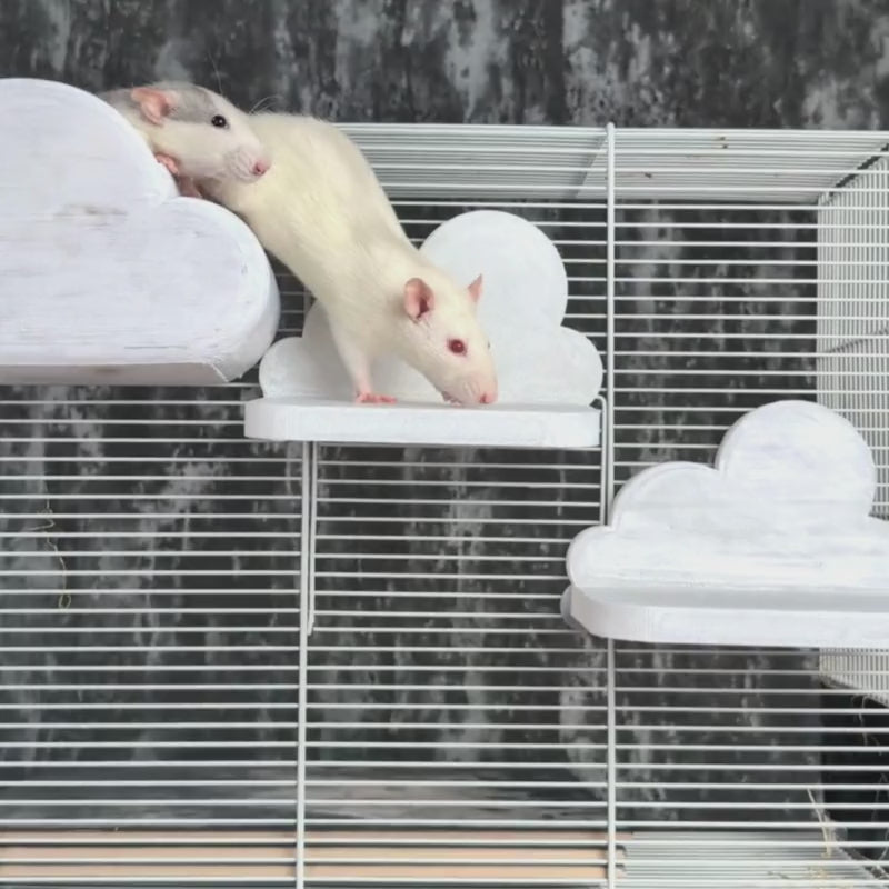 Load video: Cloud Rat Shelves &amp; Hideaway