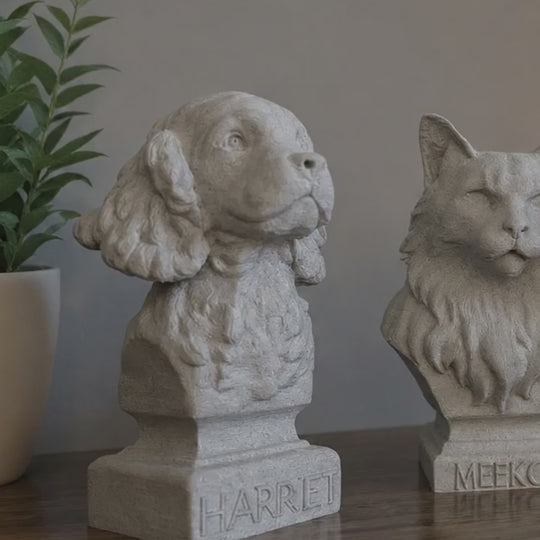Custom pet bust colour options and finished examples video