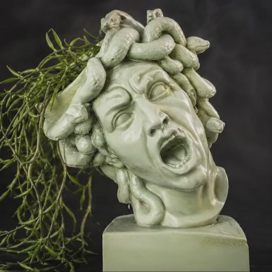 The Gorgon's Bloom product video