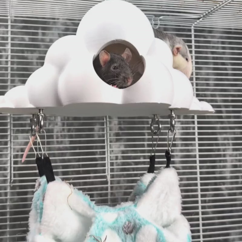 Load video: Cloud Hideaway Pet Hammock