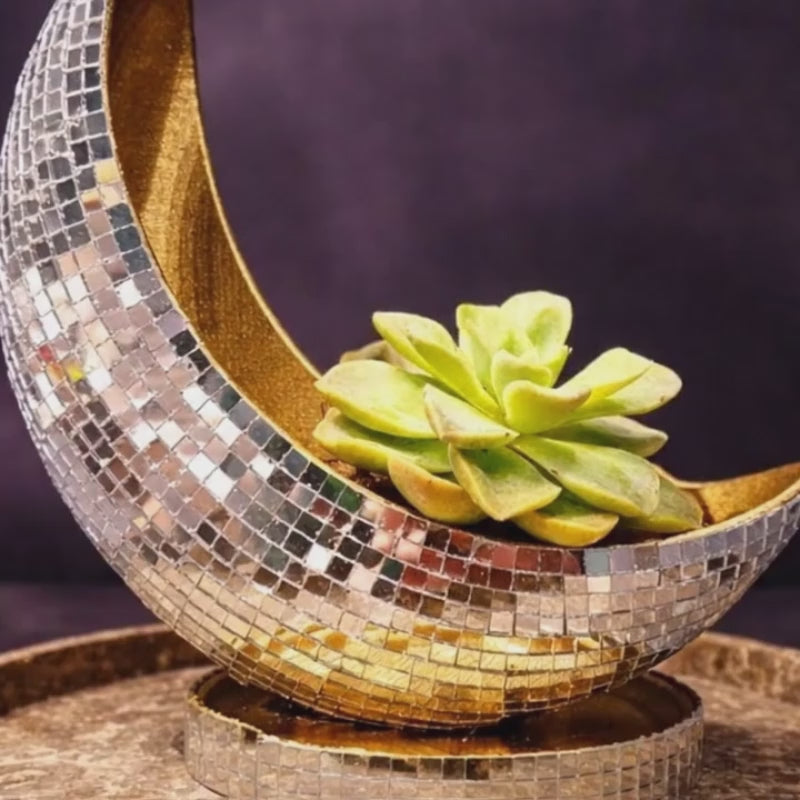 Load video: Crescent Moon Disco Ball Planter