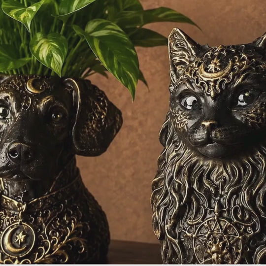 The Moon Familiar custom pet planter video