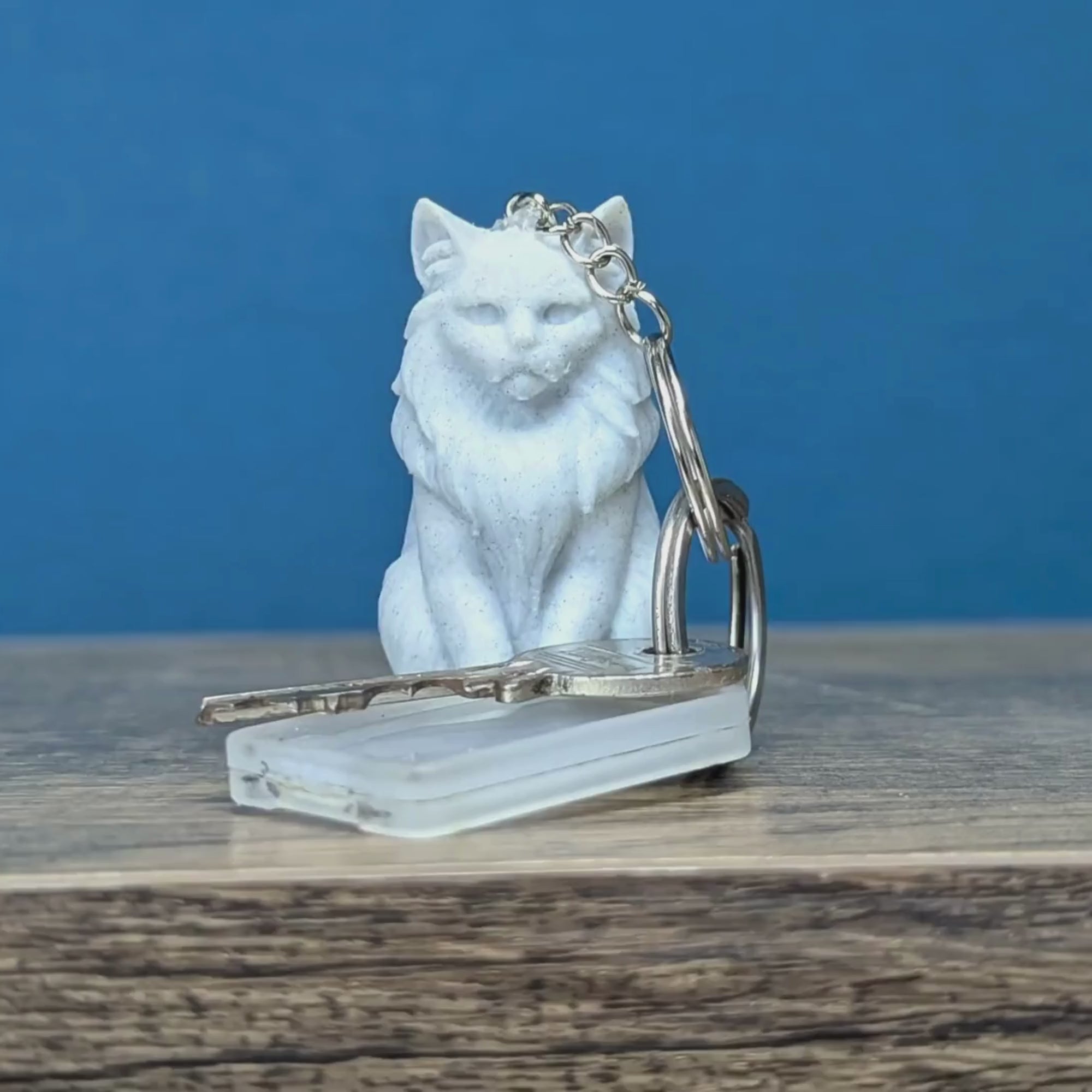 Custom Pet Keychain