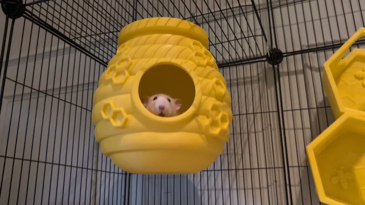 Load video: Beehive Rat Hide