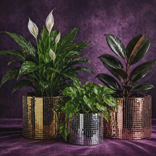 Disco Ball Plant Pot product video