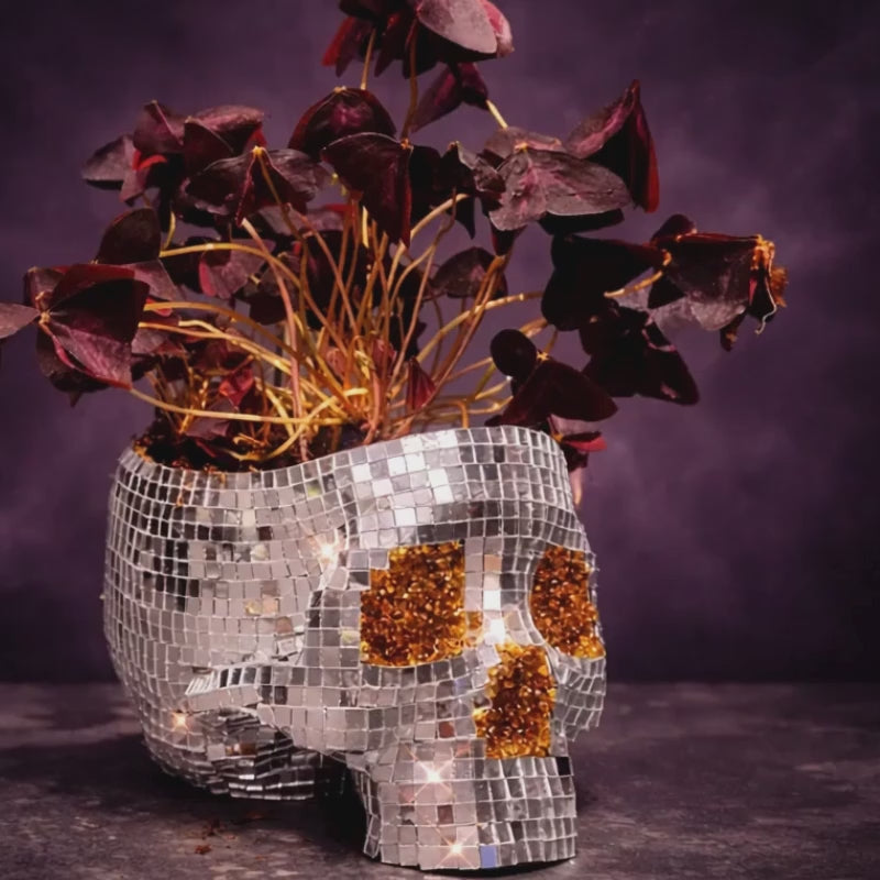 Afterglow disco ball skull planter video