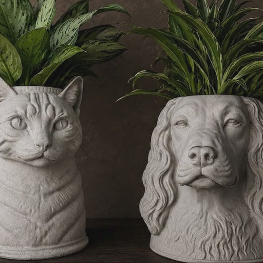 Custom Cast Stone Pet Plant Pot from Photo product video