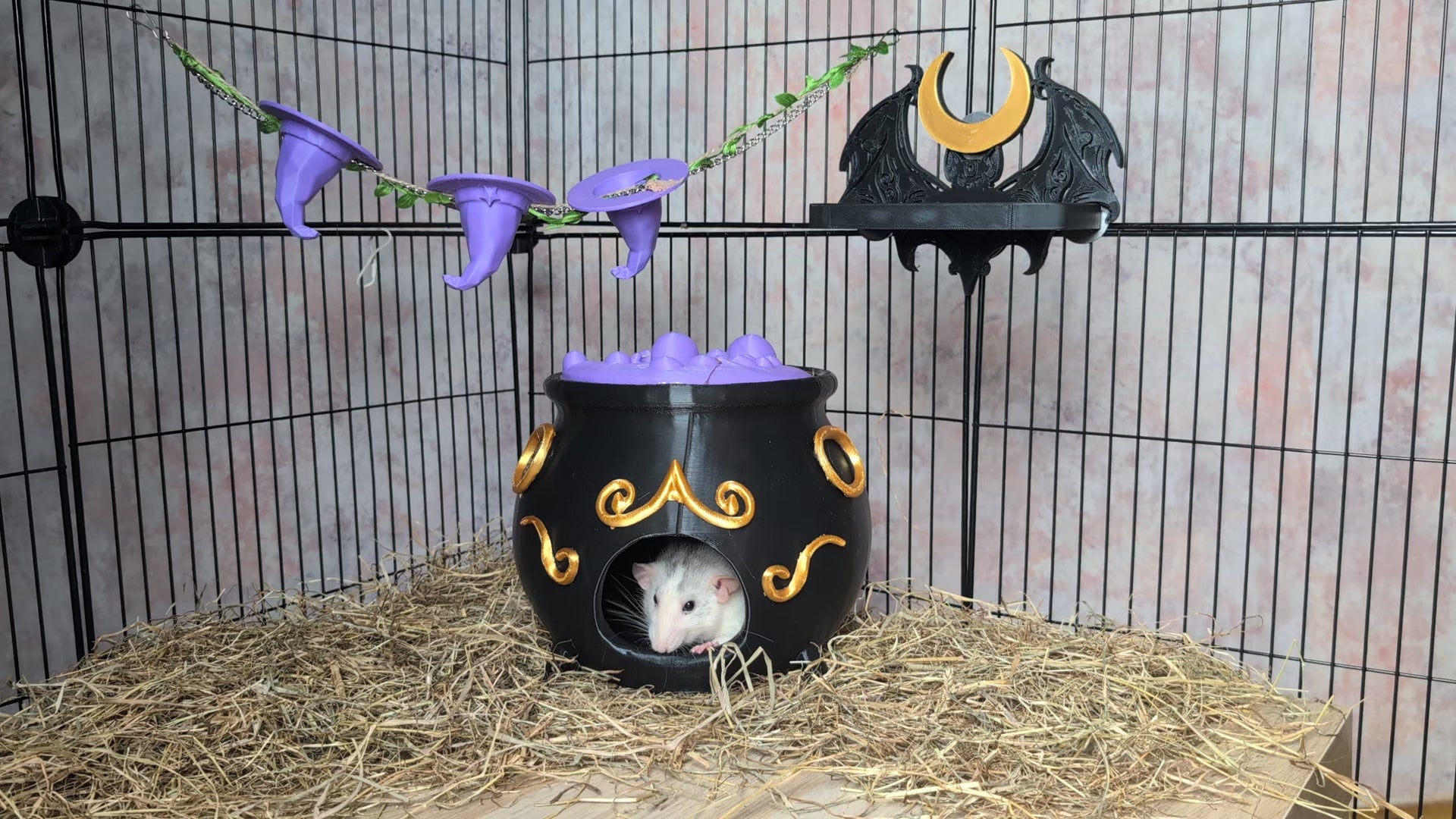 Load video: 3-Piece Witch Enrichment Set