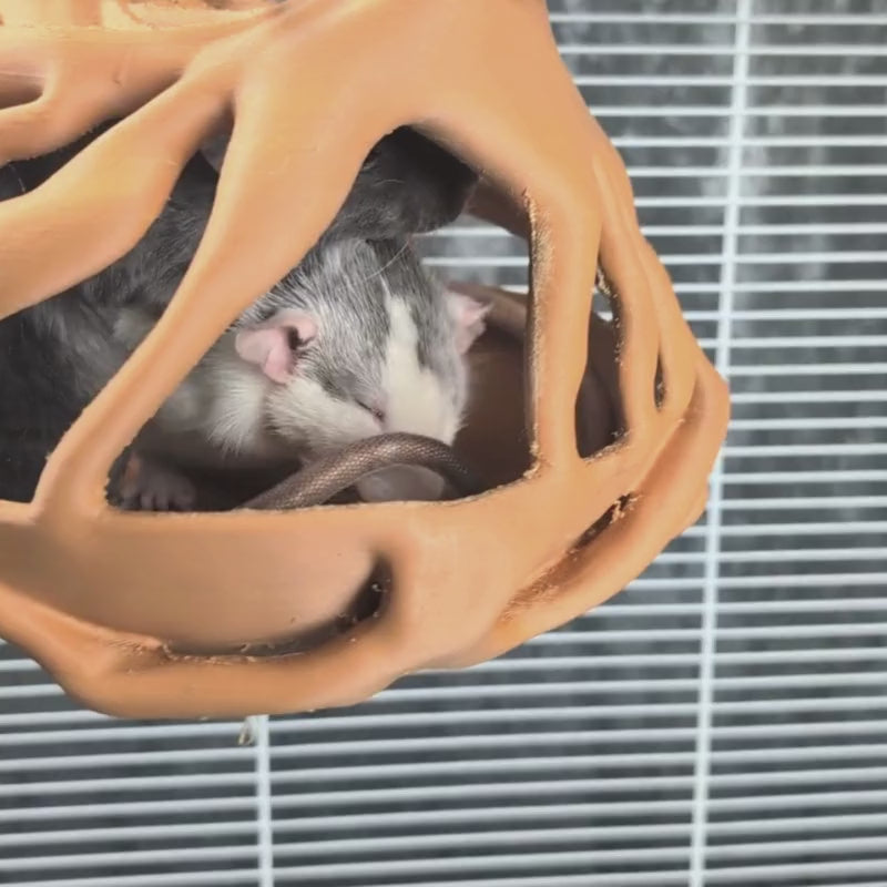 Natural Root Burrow Rat Hideaway