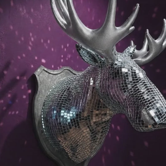 Mirrorball Moose product video