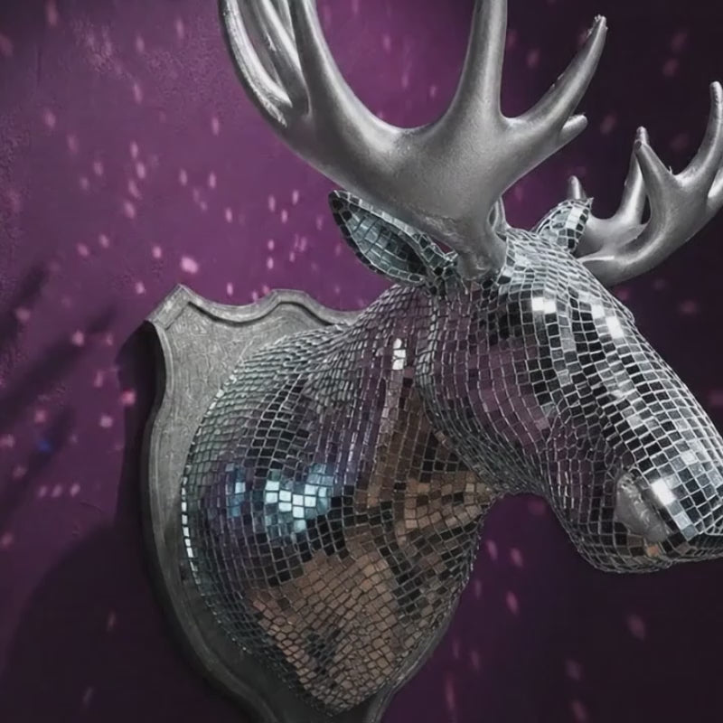Mirrorball Moose product video