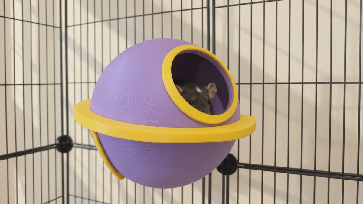 Load video: Saturn Rat Wall Hide