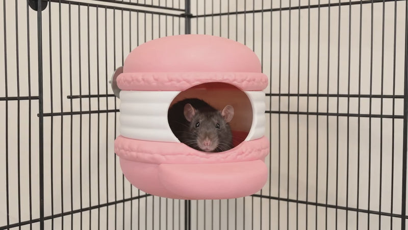 Macaron rat hide in use, with a rat peeking from the entrance
