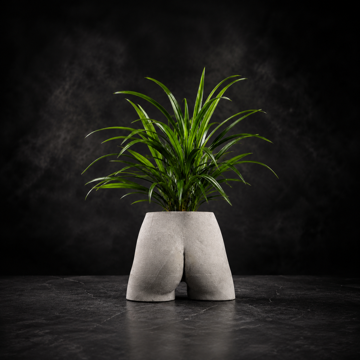 Bum Planter | Cheeky Cast Stone Plant Pot