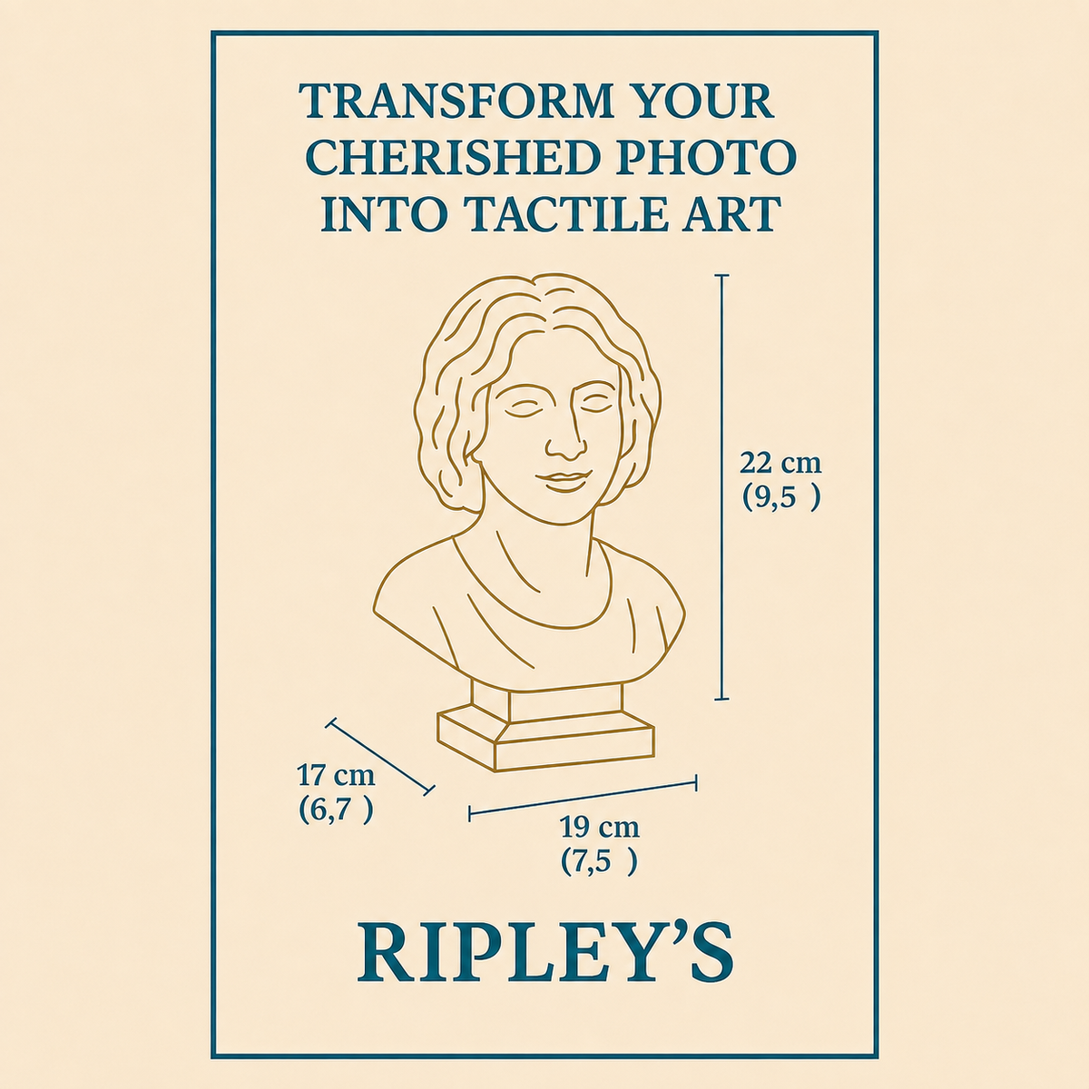 Custom portrait bust diagram showing 22 cm height, 19 cm width and 17 cm depth