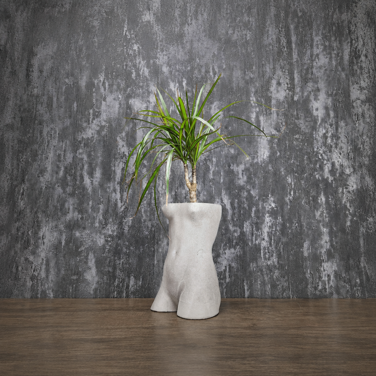 Venus de Milo torso planter filled with a spider plant