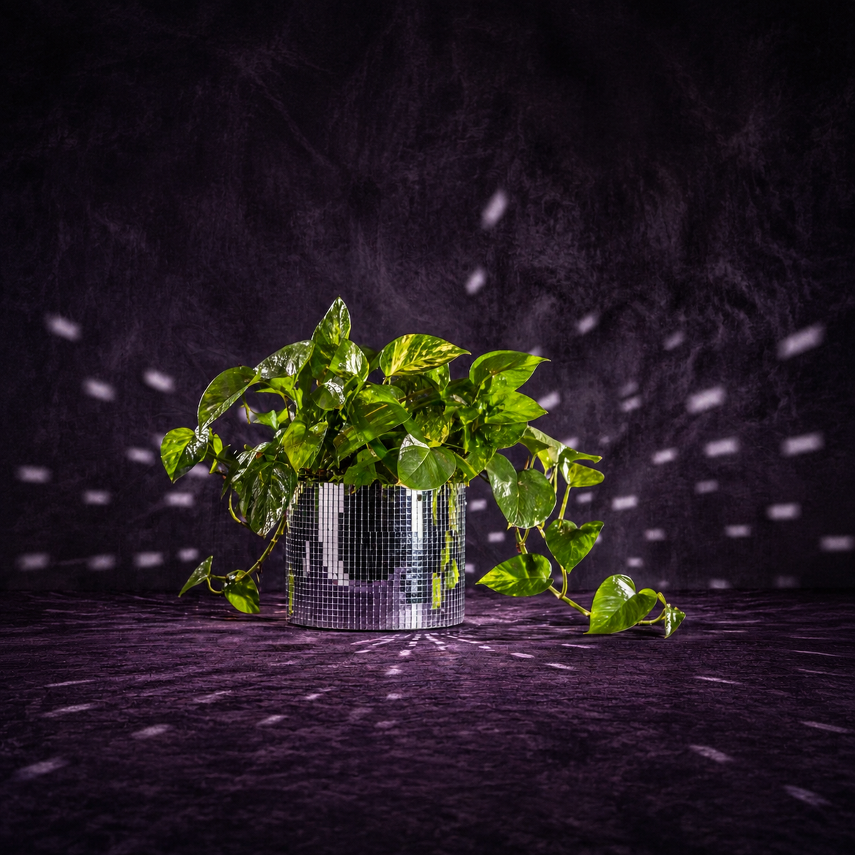 Silver disco ball plant pot with trailing pothos and reflected light on a purple backdrop