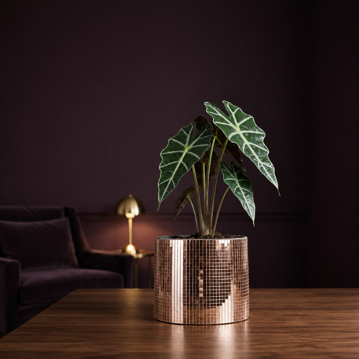 Rose gold mirror mosaic cylinder planter with alocasia