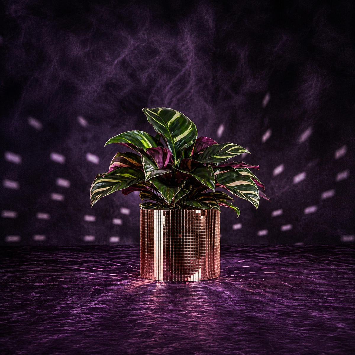 Rose gold disco ball plant pot with a colourful leafy houseplant