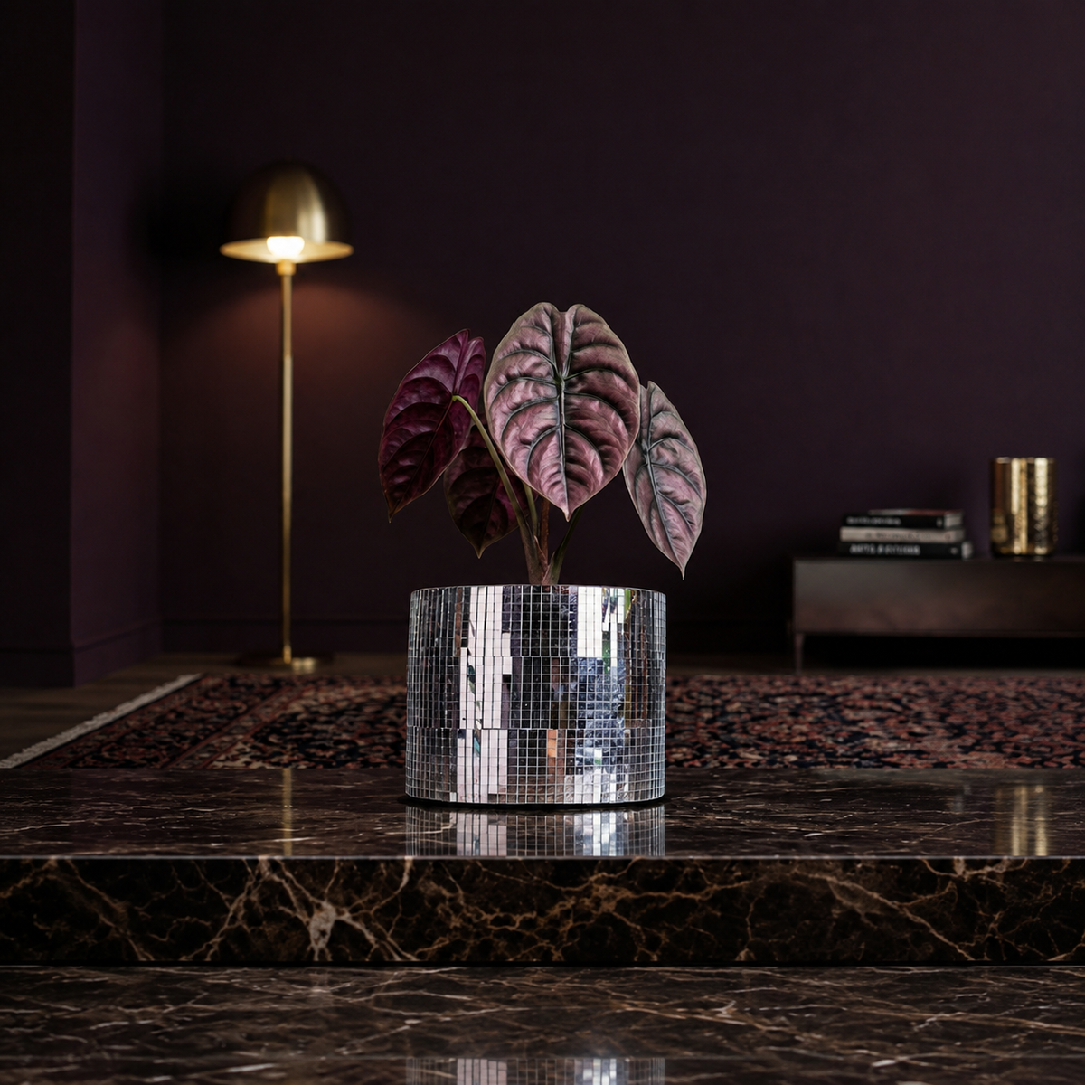 Silver disco ball plant pot with a dark-leaved houseplant on a coffee table
